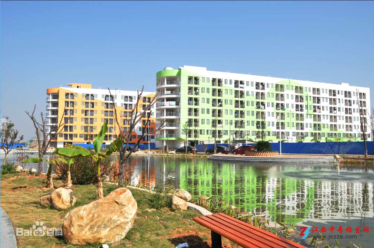 1585876411619468.png f2deb48f8c5494ee5a8ad9f12af5e0fe98257eaa.png