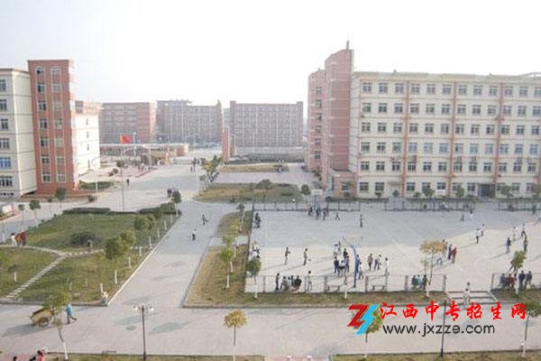 1586480792125885.jpg timg33NL5O8S.jpg